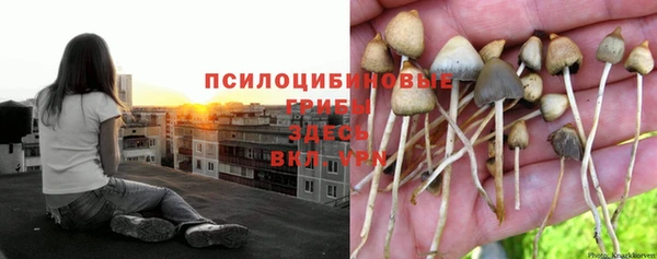 гидропоника Баксан