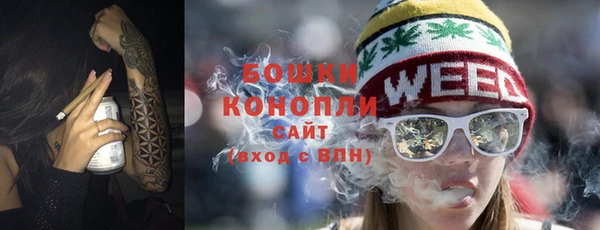 сатива Балахна