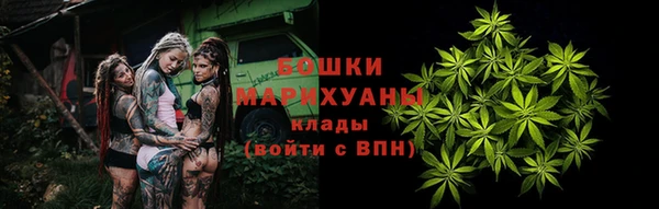 сатива Балахна