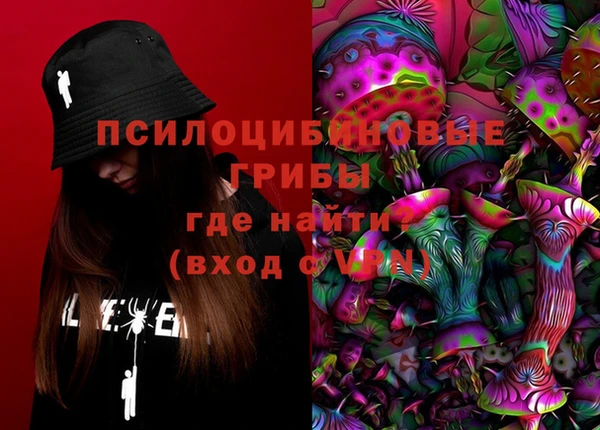 сатива Балахна