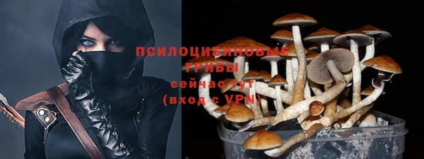 сатива Балахна