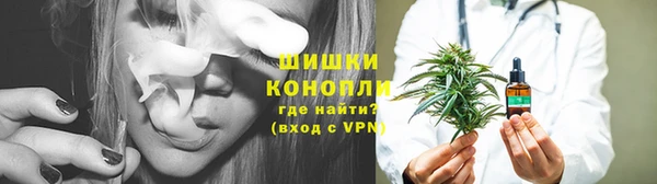 сатива Балахна